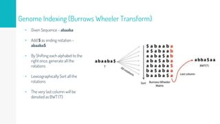 Genome Indexing (Burrows Wheeler Transform)
▹ Given Sequence – abaaba
▹ Add $ as ending notation –
abaaba$
▹ By Shifting each alphabet to the
right once, generate all the
rotations
▹ Lexicographically Sort all the
rotations
▹ The very last column will be
denoted as BWT (T)
 