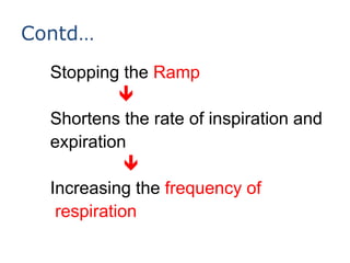 What Is Inspiration Rates physiology | PPTX