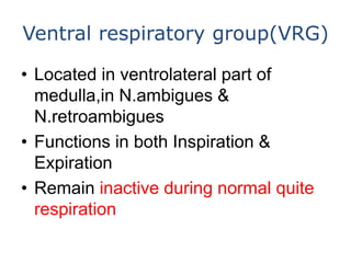 Ventral respiratory group(VRG)
• Located in ventrolateral part of
medulla,in N.ambigues &
N.retroambigues
• Functions in b...