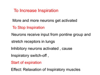 To Increase Inspiration
More and more neurons get activated
To Stop Inspiration
Neurons receive input from pontine group a...