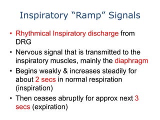 Inspiratory “Ramp” Signals
• Rhythmical Inspiratory discharge from
DRG
• Nervous signal that is transmitted to the
inspira...