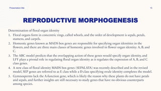 REPRODUCTIVE MORPHOGENESIS
Presentation title 15
Determination of floral organ identity
1. Floral organs form in concentric rings, called whorls, and the order of development is sepals, petals,
stamens, and carpels.
2. Homeotic genes known as MADS box genes are responsible for specifying organ identities in the
flowers, and there are three main classes of homeotic genes involved in flower organ identity: A, B, and
C.
3. The ABC model predicts that the overlapping action of these genes would specify organ identity, and
LFY plays a pivotal role in regulating floral organ identity as it regulates the expression of A, B, and C
class genes.
4. A new class of floral identity MADS box genes (SEPALATA) was recently described and in the revised
model, SEP genes are referred to as E class while a D class specifying ovule identity completes the model.
5. Gymnosperms lack the A-function gene, which is likely the reason why these plants do not have petals
and sepals, and further insights are still necessary to study genes that have no obvious counterparts
among species.
 
