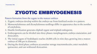 ZYGOTIC EMBRYOGENESIS
Pattern formation from the zygote to the mature embryo
1. Zygotic embryos develop within the embryo sac from fertilized ovules in a pattern.
2. Monocotyledonous and dicotyledonous seedlings differ in appearance due to the number
of cotyledons.
3. Double fertilization generates diploid zygote and triploid endosperm.
4. Embryogenesis can be divided into three phases: morphogenesis, embryo maturation, and
desiccation.
5. The initial zygote of Arabidopsis reaches 20,000 cells in nine days, growing into a mature
embryo of 500 μm in diameter.
6. During the third phase, embryos accumulate storage macromolecules, enter metabolic
quiescence, and can withstand desiccation.
Presentation title 16
 