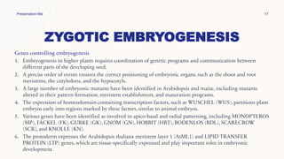 ZYGOTIC EMBRYOGENESIS
Genes controlling embryogenesis
1. Embryogenesis in higher plants requires coordination of genetic programs and communication between
different parts of the developing seed.
2. A precise order of events ensures the correct positioning of embryonic organs, such as the shoot and root
meristems, the cotyledons, and the hypocotyls.
3. A large number of embryonic mutants have been identified in Arabidopsis and maize, including mutants
altered in their pattern formation, meristem establishment, and maturation programs.
4. The expression of homeodomain-containing transcription factors, such as WUSCHEL (WUS), partitions plant
embryos early into regions marked by these factors, similar to animal embryos.
5. Various genes have been identified as involved in apico-basal and radial patterning, including MONOPTEROS
(MP), FACKEL (FK), GURKE (GK), GNOM (GN), HOBBIT (HBT), BODENLOS (BDL), SCARECROW
(SCR), and KNOLLE (KN).
6. The protoderm expresses the Arabidopsis thaliana meristem layer 1 (AtML1) and LIPID TRANSFER
PROTEIN (LTP) genes, which are tissue-specifically expressed and play important roles in embryonic
development.
Presentation title 17
 