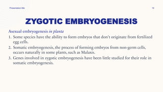 ZYGOTIC EMBRYOGENESIS
Asexual embryogenesis in planta
1. Some species have the ability to form embryos that don't originate from fertilized
egg cells.
2. Somatic embryogenesis, the process of forming embryos from non-germ cells,
occurs naturally in some plants, such as Malaxis.
3. Genes involved in zygotic embryogenesis have been little studied for their role in
somatic embryogenesis.
Presentation title 19
 