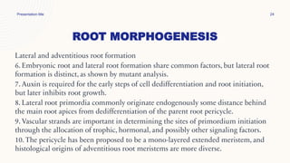 ROOT MORPHOGENESIS
Presentation title 24
Lateral and adventitious root formation
6. Embryonic root and lateral root formation share common factors, but lateral root
formation is distinct, as shown by mutant analysis.
7. Auxin is required for the early steps of cell dedifferentiation and root initiation,
but later inhibits root growth.
8. Lateral root primordia commonly originate endogenously some distance behind
the main root apices from dedifferentiation of the parent root pericycle.
9. Vascular strands are important in determining the sites of primordium initiation
through the allocation of trophic, hormonal, and possibly other signaling factors.
10. The pericycle has been proposed to be a mono-layered extended meristem, and
histological origins of adventitious root meristems are more diverse.
 