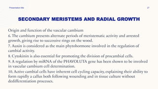 SECONDARY MERISTEMS AND RADIAL GROWTH
Presentation title 27
Origin and function of the vascular cambium
6. The cambium presents alternate periods of meristematic activity and arrested
growth, giving rise to successive rings on the wood.
7. Auxin is considered as the main phytohormone involved in the regulation of
cambial activity.
8. Cytokinin is also essential for promoting the division of procambial cells.
9. A regulation by miRNA of the PHAVOLUTA gene has been shown to be involved
in vascular cambium cell determination.
10. Active cambial cells have inherent cell cycling capacity, explaining their ability to
form rapidly a callus both following wounding and in tissue culture without
dedifferentiation processes.
 