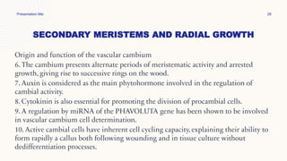 SECONDARY MERISTEMS AND RADIAL GROWTH
Presentation title 28
Origin and function of the vascular cambium
6. The cambium presents alternate periods of meristematic activity and arrested
growth, giving rise to successive rings on the wood.
7. Auxin is considered as the main phytohormone involved in the regulation of
cambial activity.
8. Cytokinin is also essential for promoting the division of procambial cells.
9. A regulation by miRNA of the PHAVOLUTA gene has been shown to be involved
in vascular cambium cell determination.
10. Active cambial cells have inherent cell cycling capacity, explaining their ability to
form rapidly a callus both following wounding and in tissue culture without
dedifferentiation processes.
 