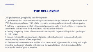THE CELL CYCLE
Presentation title 30
Cell proliferation, polyploidy, and development
6. Quantitative data show that the cell cycle duration is always shorter in the peripheral zone
(PZ) than the central zone (CZ) of the vegetative shoot apical meristem of various species.
7. Cell size is a component of developmental programs, and a critical cell size is required to
commit the cells to enter the S phase for a new round of division.
8. During temporary arrests of meristematic activity, cells stop the cell cycle in a prolonged
G1 (G0) phase.
9. In non-cycling differentiated parts of plants, endoreduplication can occur, leading to
supernumerary rounds of DNA synthesis.
10. Endoreduplication occurs in seed or plant tissues with high metabolic activity and might
provide a mechanism whereby cells increase the availability of DNA template and thus
increase the level of gene expression.
 