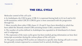 THE CELL CYCLE
Presentation title 32
Molecular control of the cell cycle
6. In Arabidopsis, the CDC2a gene (CDK A) is expressed during both in G1-to-S and in G2-
to-M transitions, while CDC2b (CDK B) gene is more associated with the progression
through G2.
7. More recently, three other CDK classes (C, D and E) have been identified to which has
been added the distantly related CDK activating kinase CAK1, renamed CDK F1.
8. The number of cyclins defined in Arabidopsis has expanded to 49 distributed in 8 classes
and 23 subgroups.
9. The expression of the main cyclin genes has been studied, giving information on how their
transcripts accumulate during the various phases of the cell cycle.
10. The genes encoding CYCD cyclins are induced at a specific time during cell cycle re-entry
but generally remain expressed at a constant level in actively dividing cells.
 