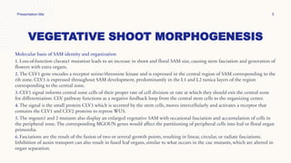VEGETATIVE SHOOT MORPHOGENESIS
Presentation title 5
Molecular basis of SAM identity and organization
1. Loss-of-function clavata1 mutation leads to an increase in shoot and floral SAM size, causing stem fasciation and generation of
flowers with extra organs.
2. The CLV1 gene encodes a receptor serine/threonine kinase and is expressed in the central region of SAM corresponding to the
rib zone. CLV3 is expressed throughout SAM development, predominantly in the L1 and L2 tunica layers of the region
corresponding to the central zone.
3. CLV3 signal informs central zone cells of their proper rate of cell division or rate at which they should exit the central zone
for differentiation. CLV pathway functions as a negative feedback loop from the central stem cells to the organizing center.
4. The signal is the small protein CLV3 which is secreted by the stem cells, moves intercellularly and activates a receptor that
contains the CLV1 and CLV2 proteins to repress WUS.
5. The mgoun1 and 2 mutants also display an enlarged vegetative SAM with occasional fasciation and accumulation of cells in
the peripheral zone. The corresponding MGOUN genes would affect the partitioning of peripheral cells into leaf or floral organ
primordia.
6. Fasciations are the result of the fusion of two or several growth points, resulting in linear, circular, or radiate fasciations.
Inhibition of auxin transport can also result in fused leaf organs, similar to what occurs in the cuc mutants, which are altered in
organ separation.
 