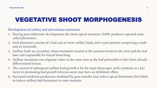 VEGETATIVE SHOOT MORPHOGENESIS
Presentation title 9
Development of axillary and adventitious meristems
1. During post-embryonic development, the shoot apical meristem (SAM) produces repeated units
called phytomers.
2. Each phytomer consists of a leaf, one or more axillary buds, and a stem portion comprising a node
and an internode.
3. Axillary buds are secondary shoot meristems located at the junction between the stem and the leaf
base and responsible for lateral branching.
4. Axillary meristems can originate either at the same time as the leaf primordia or later from already
differentiated tissues.
5. The control of subsequent axillary bud growth is by the main shoot apex, with cytokinin as a key
factor in promoting bud growth whereas auxin may have an inhibitory effect.
6. Increased cytokinin production mediated by gene transfer may reduce apical dominance but failed
to induce axillary bud formation in some mutants.
 