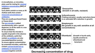Decreasing concentration of drug
Doxycycline
(Growth in all wells, resistant)
Sulfamethoxazole
(Trailing end point; usually read where there
is an estimated 80% reduction in growth)
Streptomycin
(No growth in any well; sensitive at all
concentrations)
Ethambutol (Growth in fourth wells;
equally sensitive to
ethambutol and
kanamycin
Kanamycin
A microdilution, or microtiter,
plate used for testing for minimal
inhibitory concentration (MIC) of
antibiotics.
Such plates contain as many as 96
shallow wells that contain
measured concentrations of
antibiotics.
They are usually purchased frozen
or freeze dried.
The test microbe is added
simultaneously, with a special
dispenser, to all the wells in a row
of test antibiotics.
To ensure that the microbe is
capable of growth in the absence
of the antibiotic, wells that
contain no antibiotic are also
inoculated (positive control).
To ensure against contamination
by unwanted microbes, wells that
contain nutrient broth but no
antibiotics or inoculum are
included (negative control)
 