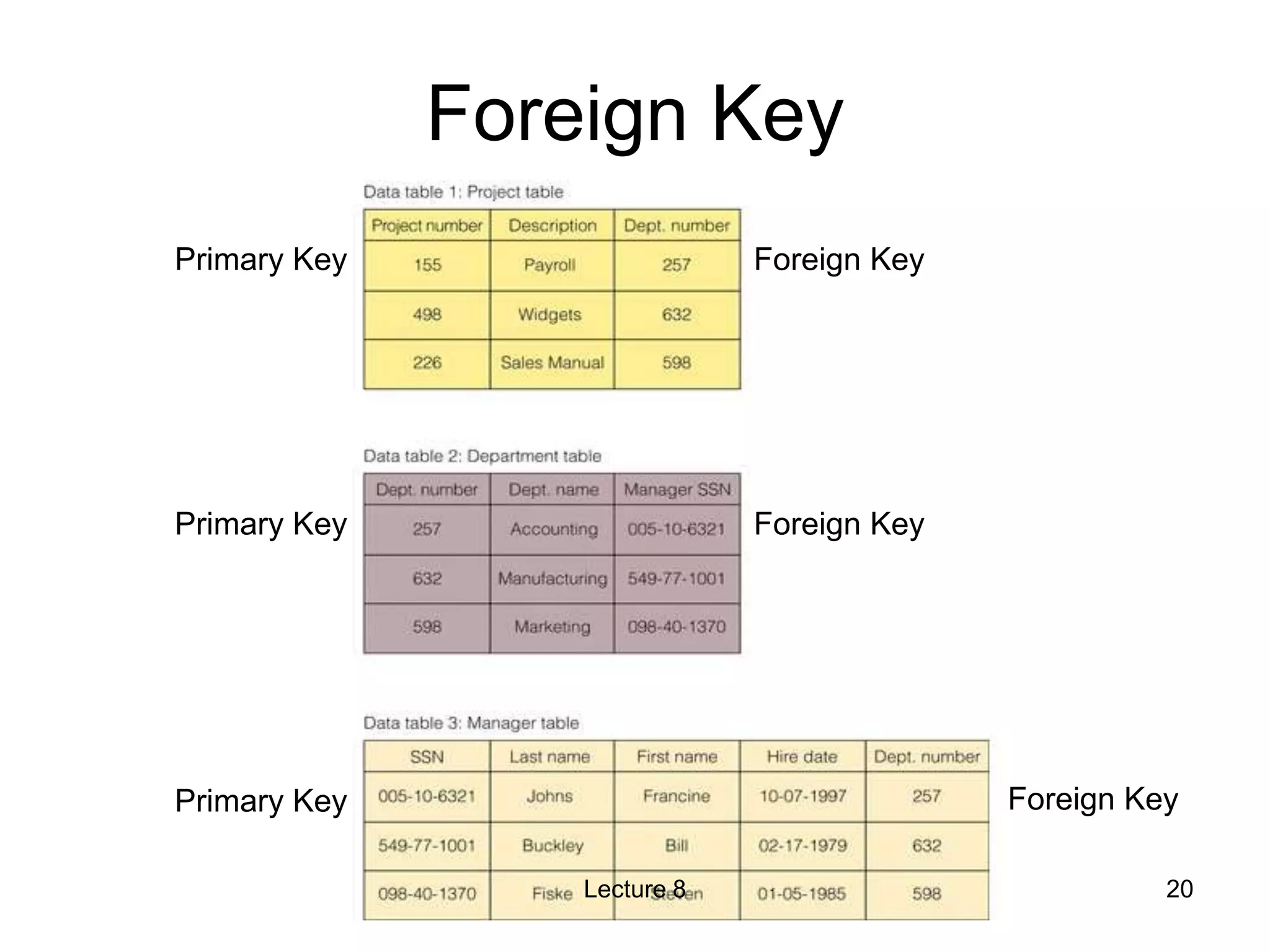 Foreign Key
Primary Key Foreign Key
Primary Key Foreign Key
Primary Key Foreign Key
20
Lecture 8
 