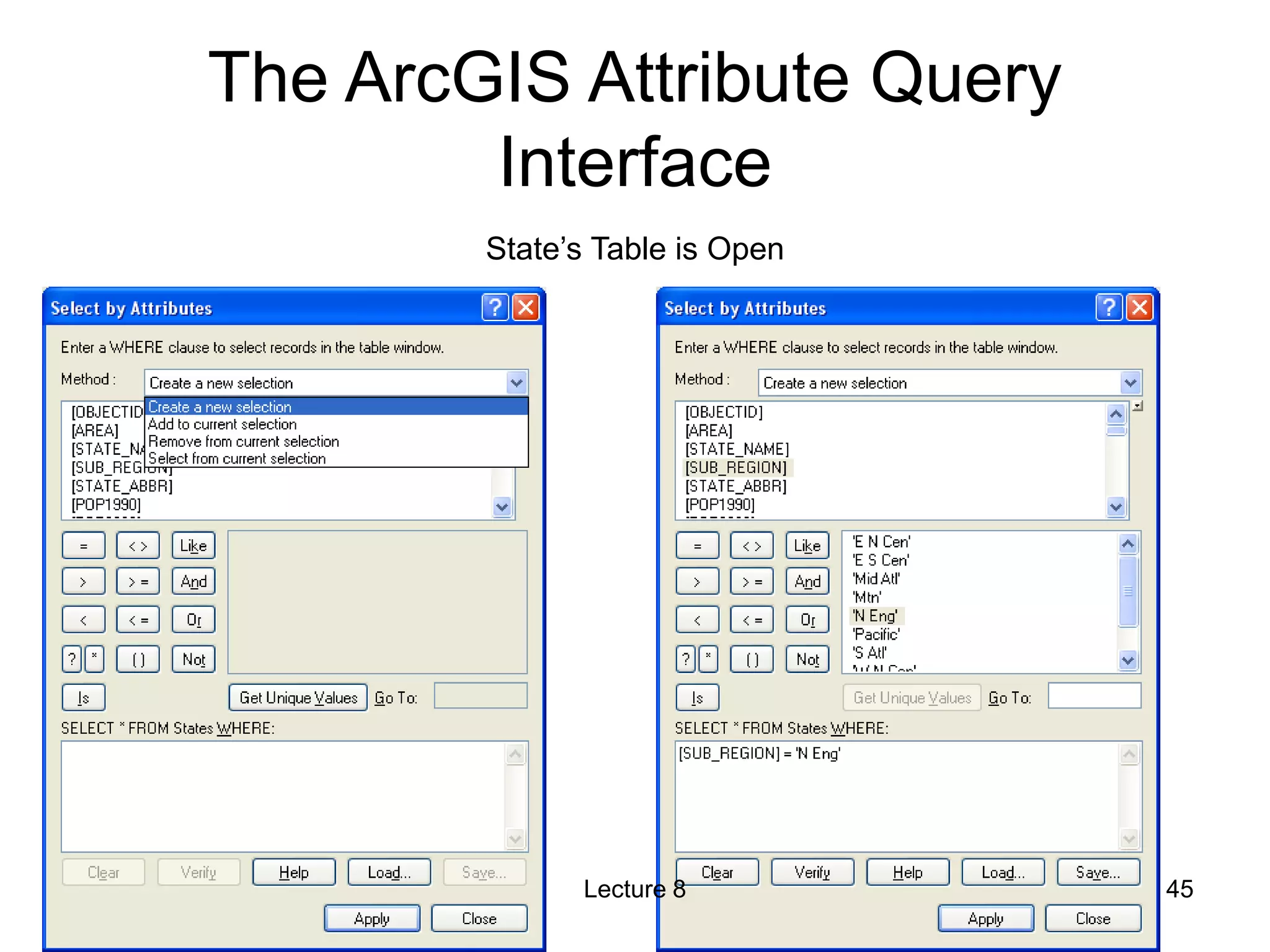 The ArcGIS Attribute Query
Interface
State’s Table is Open
Lecture 8 45
 