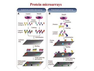 Target Sample Of Microarray Lecture 8 drug targets and target identification | PDF