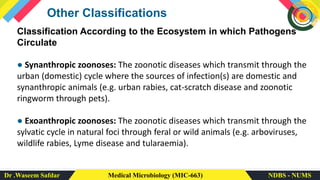 Dr .Waseem Safdar Medical Microbiology (MIC-663) NDBS - NUMS
Other Classifications
Classification According to the Ecosystem in which Pathogens
Circulate
● Synanthropic zoonoses: The zoonotic diseases which transmit through the
urban (domestic) cycle where the sources of infection(s) are domestic and
synanthropic animals (e.g. urban rabies, cat-scratch disease and zoonotic
ringworm through pets).
● Exoanthropic zoonoses: The zoonotic diseases which transmit through the
sylvatic cycle in natural foci through feral or wild animals (e.g. arboviruses,
wildlife rabies, Lyme disease and tularaemia).
 