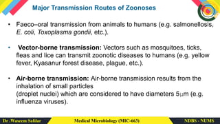 Dr .Waseem Safdar Medical Microbiology (MIC-663) NDBS - NUMS
Major Transmission Routes of Zoonoses
• Faeco–oral transmission from animals to humans (e.g. salmonellosis,
E. coli, Toxoplasma gondii, etc.).
• Vector-borne transmission: Vectors such as mosquitoes, ticks,
fleas and lice can transmit zoonotic diseases to humans (e.g. yellow
fever, Kyasanur forest disease, plague, etc.).
• Air-borne transmission: Air-borne transmission results from the
inhalation of small particles
(droplet nuclei) which are considered to have diameters 5μm (e.g.
influenza viruses).
 