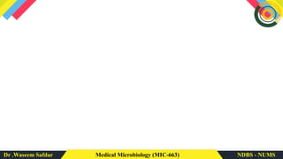 Dr .Waseem Safdar Medical Microbiology (MIC-663) NDBS - NUMS
 