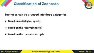 Dr .Waseem Safdar Medical Microbiology (MIC-663) NDBS - NUMS
Classification of Zoonoses
Zoonoses can be grouped into three categories
➢ Based on aetiological agents
➢ Based on the reservoir host(s)
➢ Based on the transmission cycle
 