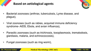 Dr .Waseem Safdar Medical Microbiology (MIC-663) NDBS - NUMS
Based on aetiological agents
• Bacterial zoonoses (anthrax, tuberculosis, Lyme disease, and
plague),
• Viral zoonoses (such as rabies, acquired immune deficiency
syndrome- AIDS, Ebola, and avian influenza),
• Parasitic zoonoses (such as trichinosis, toxoplasmosis, trematodosis,
giardiasis, malaria, and echinococcosis),
• Fungal zoonoses (such as ring worm),
 