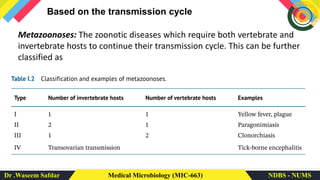Dr .Waseem Safdar Medical Microbiology (MIC-663) NDBS - NUMS
Based on the transmission cycle
Metazoonoses: The zoonotic diseases which require both vertebrate and
invertebrate hosts to continue their transmission cycle. This can be further
classified as
 