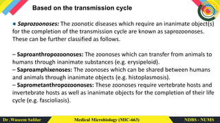 Dr .Waseem Safdar Medical Microbiology (MIC-663) NDBS - NUMS
Based on the transmission cycle
● Saprozoonoses: The zoonotic diseases which require an inanimate object(s)
for the completion of the transmission cycle are known as saprozoonoses.
These can be further classified as follows.
– Saproanthropozoonoses: The zoonoses which can transfer from animals to
humans through inanimate substances (e.g. erysipeloid).
– Saproamphixenoses: The zoonoses which can be shared between humans
and animals through inanimate objects (e.g. histoplasmosis).
– Saprometanthropozoonoses: These zoonoses require vertebrate hosts and
invertebrate hosts as well as inanimate objects for the completion of their life
cycle (e.g. fascioliasis).
 