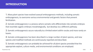 Somatic Embryogenesis of plantssssssssss | PDF