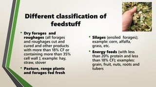 Lecture-9-Animal-Nutrition.pdfdasdasdasd | PDF