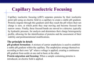 Lecture-9-Gel electrophoresislaboratory technique.pptx
