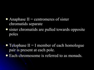 Anaphase II =  centromeres of sister chromatids separate sister chromatids are pulled towards opposite poles Telophase II = I member of each homologue pair is present at each pole. Each chromosome is referred to as monads. 