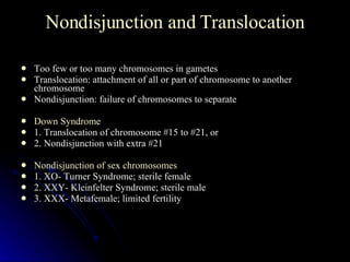 Nondisjunction and Translocation Too few or too many chromosomes in gametes Translocation: attachment of all or part of chromosome to another chromosome Nondisjunction: failure of chromosomes to separate Down Syndrome 1. Translocation of chromosome #15 to #21, or 2. Nondisjunction with extra #21 Nondisjunction of sex chromosomes 1. XO- Turner Syndrome; sterile female 2. XXY- Kleinfelter Syndrome; sterile male 3. XXX- Metafemale; limited fertility 