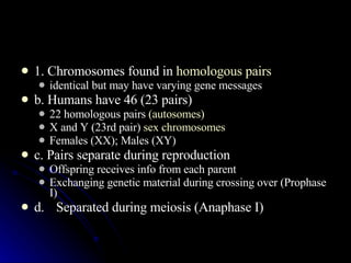 1. Chromosomes found in  homologous pairs identical but may have varying gene messages b. Humans have 46 (23 pairs) 22 homologous pairs  (autosomes) X and Y (23rd pair)  sex chromosomes Females (XX); Males (XY) c. Pairs separate during reproduction Offspring receives info from each parent Exchanging genetic material during crossing over (Prophase I) d. Separated during meiosis (Anaphase I) 