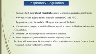 Respiratory Regulation
• Includes both neural and chemical controls to maintain correct concentrations
• Nervous system adjusts rate to maintain constant PO2 and PCO2.
• Respiratory center in medulla oblongata and pons of the brain:
■ Chemosensitive receptors in medulla oblongata respond to changes in blood and hydrogen ion
concentration.
■ Increased CO2 most strongly affects stimulation of respiration.
■ Neural receptors to O2 in carotid bodies stimulate respiratory center.
• In clients with emphysema, O2 concentration affects respiration more strongly (hypoxic drive)
because of constant buildup of CO2 in blood.
 