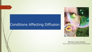 29
Photo by Andreas Hendrik
https://commons.wikimedia.org/wiki/File:Seifenblasen.jpg
Conditions Affecting Diffusion
 