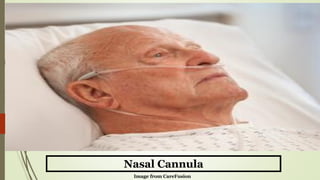 Image from CareFusion
Nasal Cannula
 