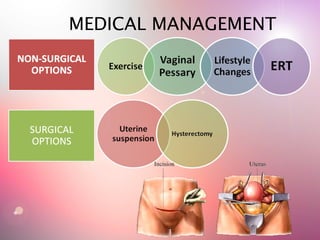 MEDICAL MANAGEMENT
 