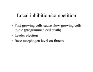 Local inhibition/competition
• Fast-growing cells cause slow-growing cells
to die (programmed cell death)
• Leader election
• Base morphogen level on fitness

 