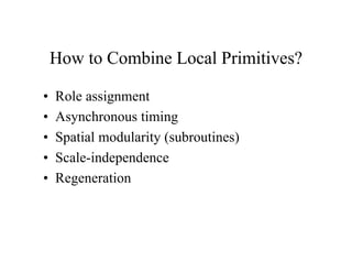 How to Combine Local Primitives?
•
•
•
•
•

Role assignment
Asynchronous timing
Spatial modularity (subroutines)
Scale-independence
Regeneration

 