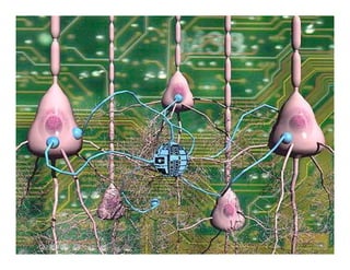 Amorphous Computing (Computación Amorfa)