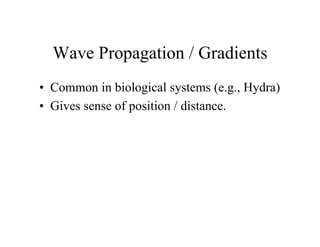 Wave Propagation / Gradients
• Common in biological systems (e.g., Hydra)
• Gives sense of position / distance.

 
