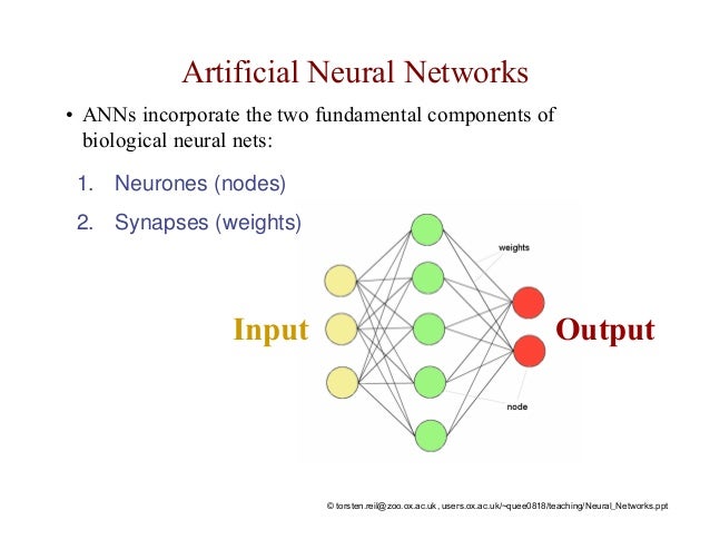 research papers on neural network research papers on neural network