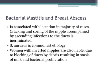 Bacterial Mastitis and Breast Abscess
• Is associated with lactation in majority of cases.
Cracking and soring of the nipple accompanied
by ascending infections to the ducts is
incriminated
• S. aureaus is commonest etiology
• Women with inverted nipples are also liable, due
to blocking of ducts by debris resulting in stasis
of milk and bacterial proliferation
 