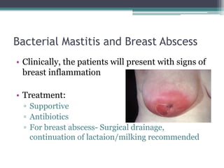 Bacterial Mastitis and Breast Abscess
• Clinically, the patients will present with signs of
breast inflammation
• Treatment:
▫ Supportive
▫ Antibiotics
▫ For breast abscess- Surgical drainage,
continuation of lactaion/milking recommended
 