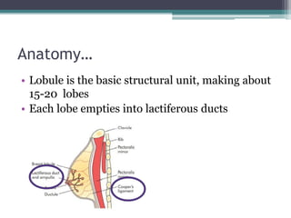 Anatomy…
• Lobule is the basic structural unit, making about
15-20 lobes
• Each lobe empties into lactiferous ducts
 