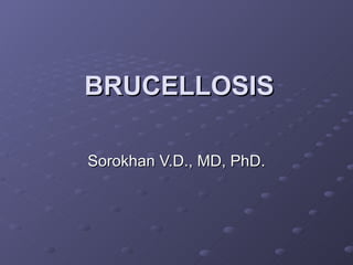 BRUCELLOSIS Sorokhan V.D., MD, PhD. 