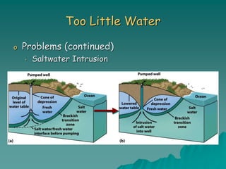 Too Little Water
o Problems (continued)
• Saltwater Intrusion
 
