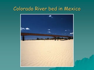 Colorado River bed in Mexico
 