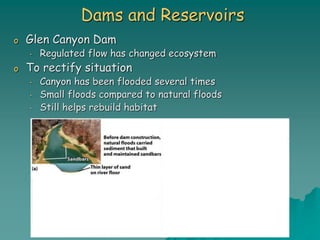 Dams and Reservoirs
o Glen Canyon Dam
• Regulated flow has changed ecosystem
o To rectify situation
• Canyon has been flooded several times
• Small floods compared to natural floods
• Still helps rebuild habitat
 