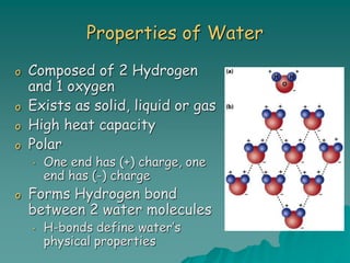 Properties of Water
o Composed of 2 Hydrogen
and 1 oxygen
o Exists as solid, liquid or gas
o High heat capacity
o Polar
• One end has (+) charge, one
end has (-) charge
o Forms Hydrogen bond
between 2 water molecules
• H-bonds define water’s
physical properties
 